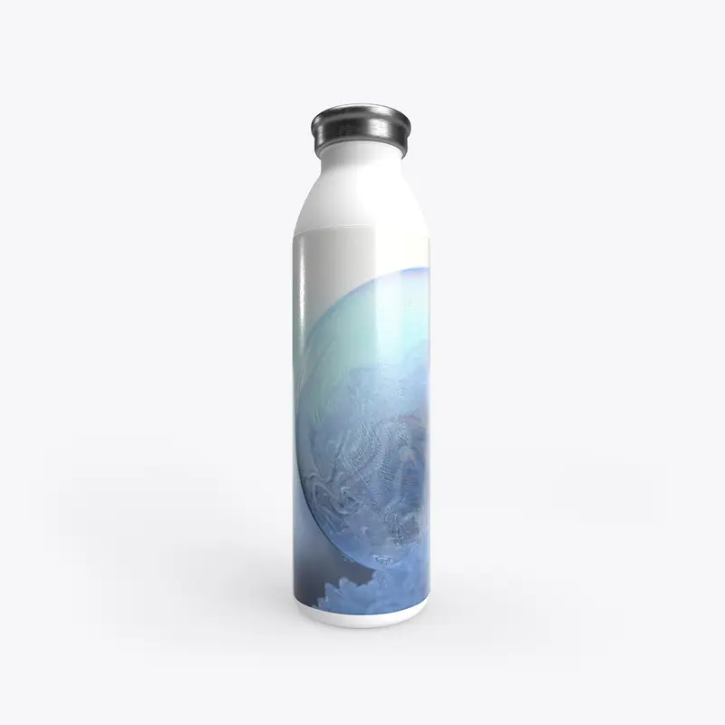 Stainless Water Bottle